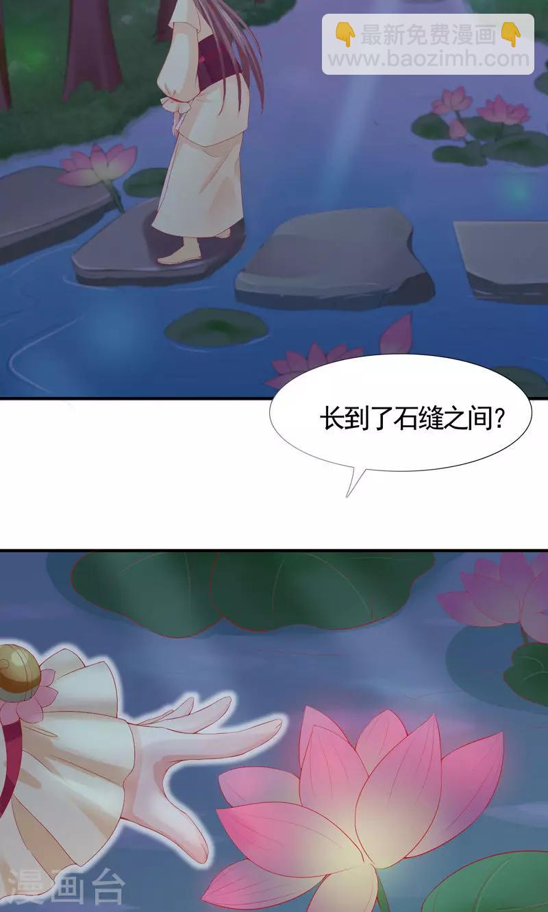 第10话 南天门的机关也太多了-第12话