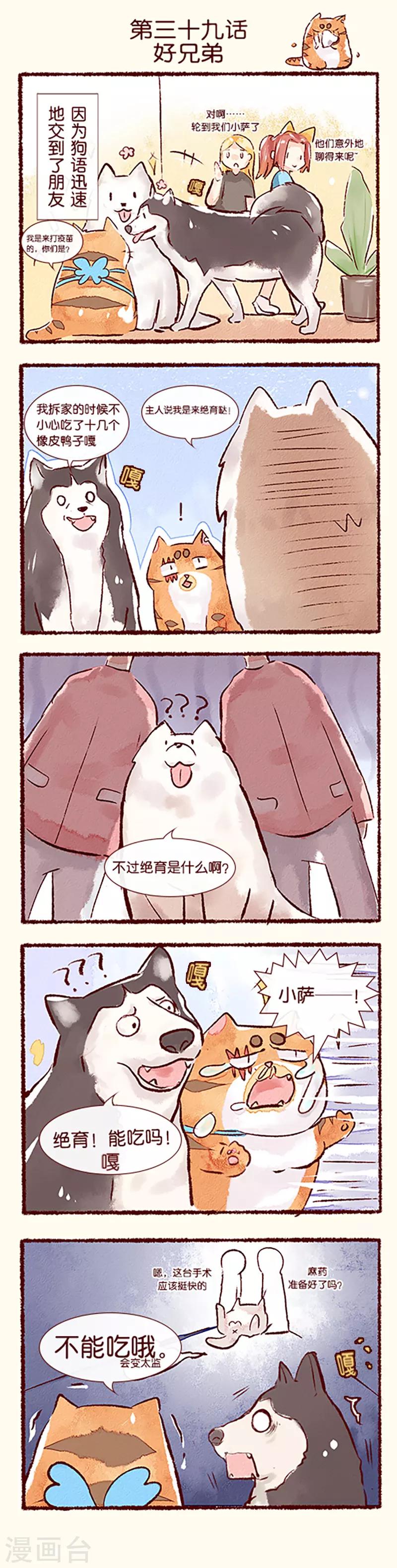 第39话 好兄弟-第40话