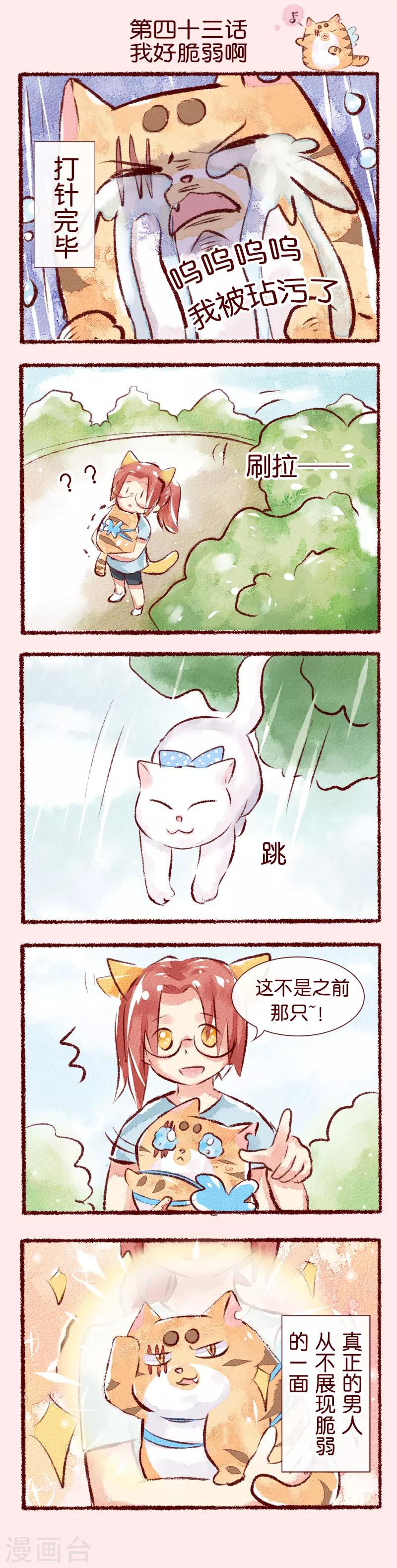 第43话 我好脆弱啊-第44话
