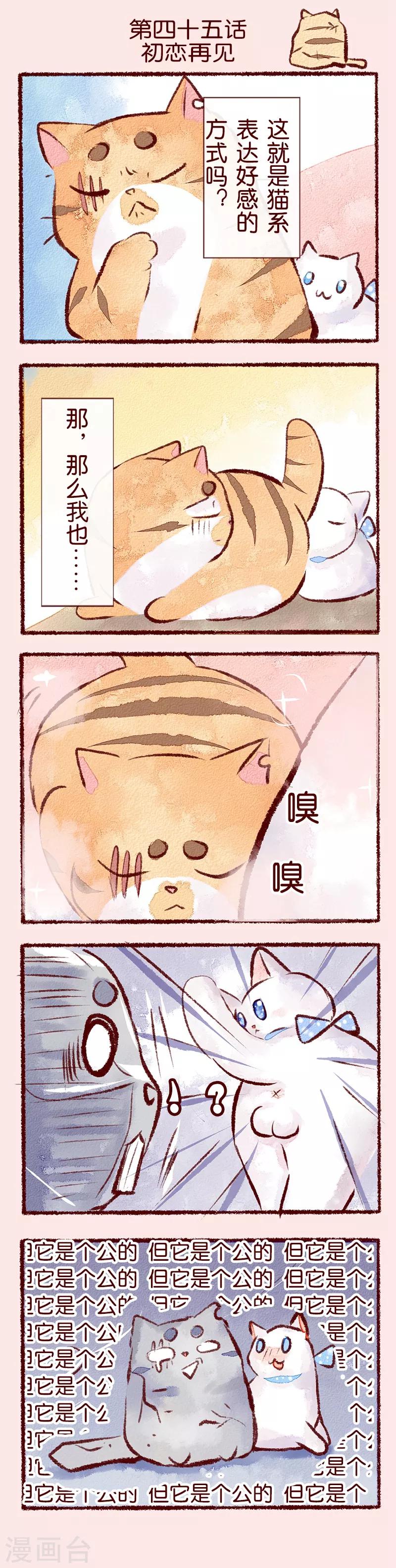 第45话 初恋再见-第46话