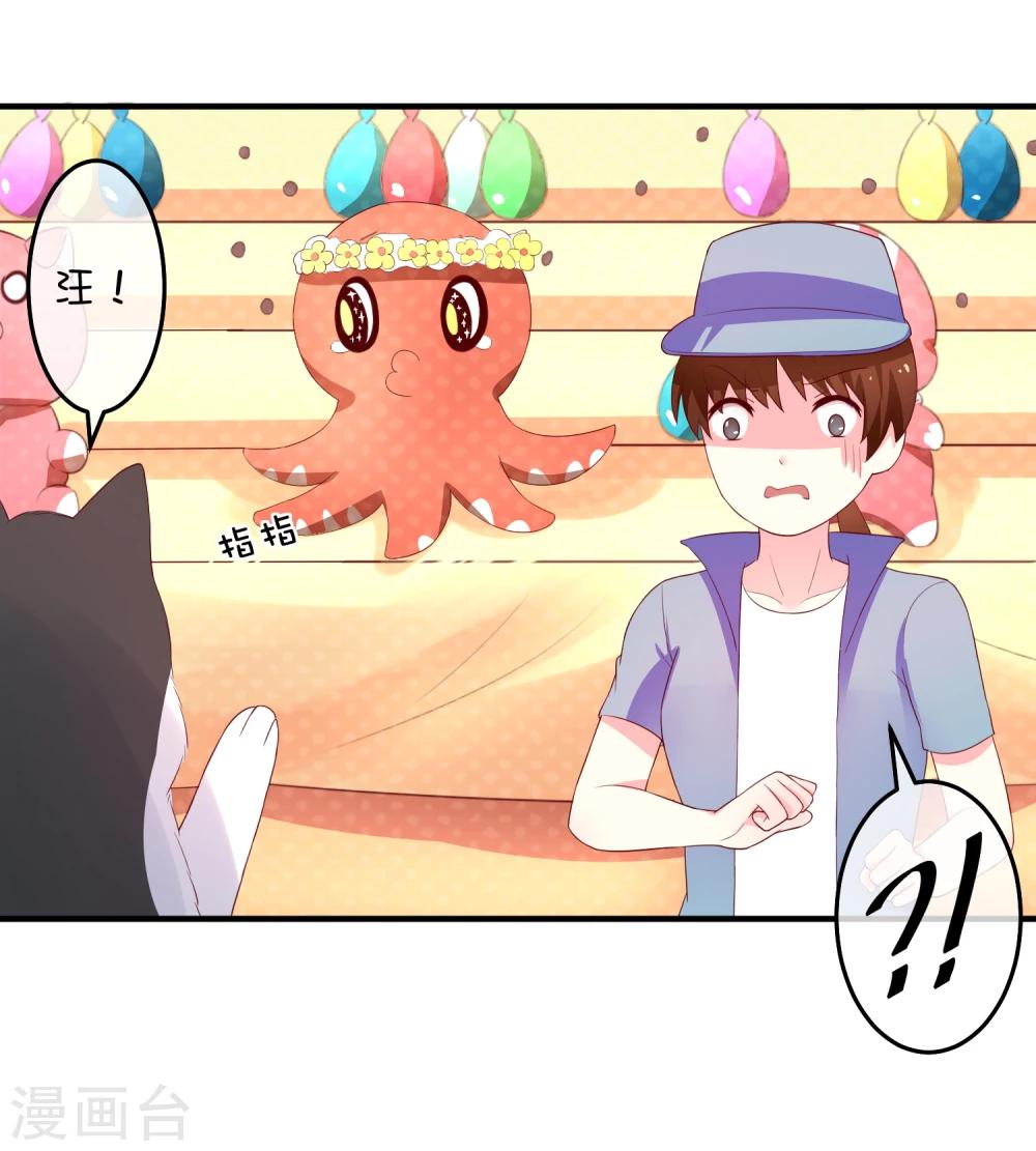 第16话 猫狗再相逢-第24话