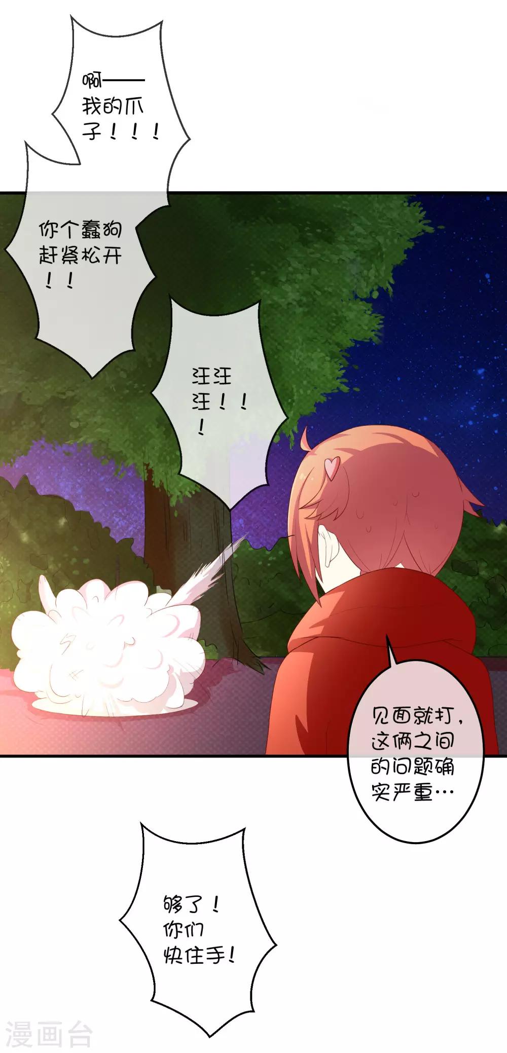 第16话 猫狗再相逢-第24话