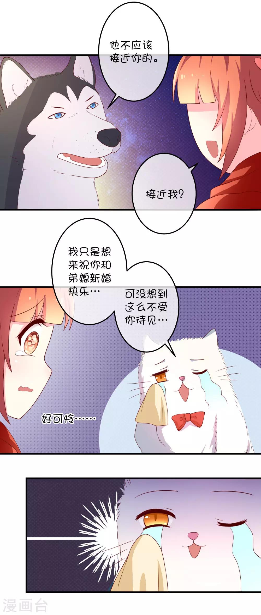 第16话 猫狗再相逢-第24话