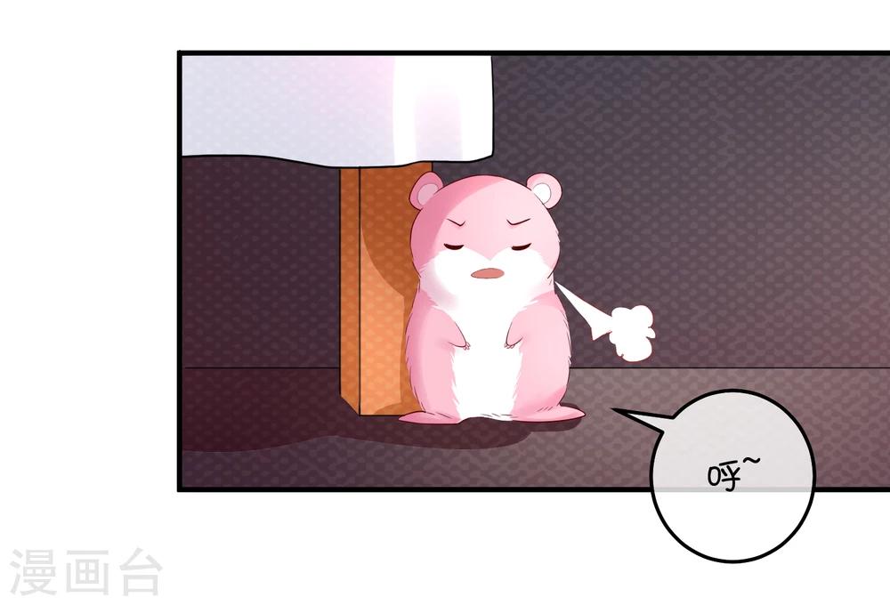第16话 猫狗再相逢-第24话