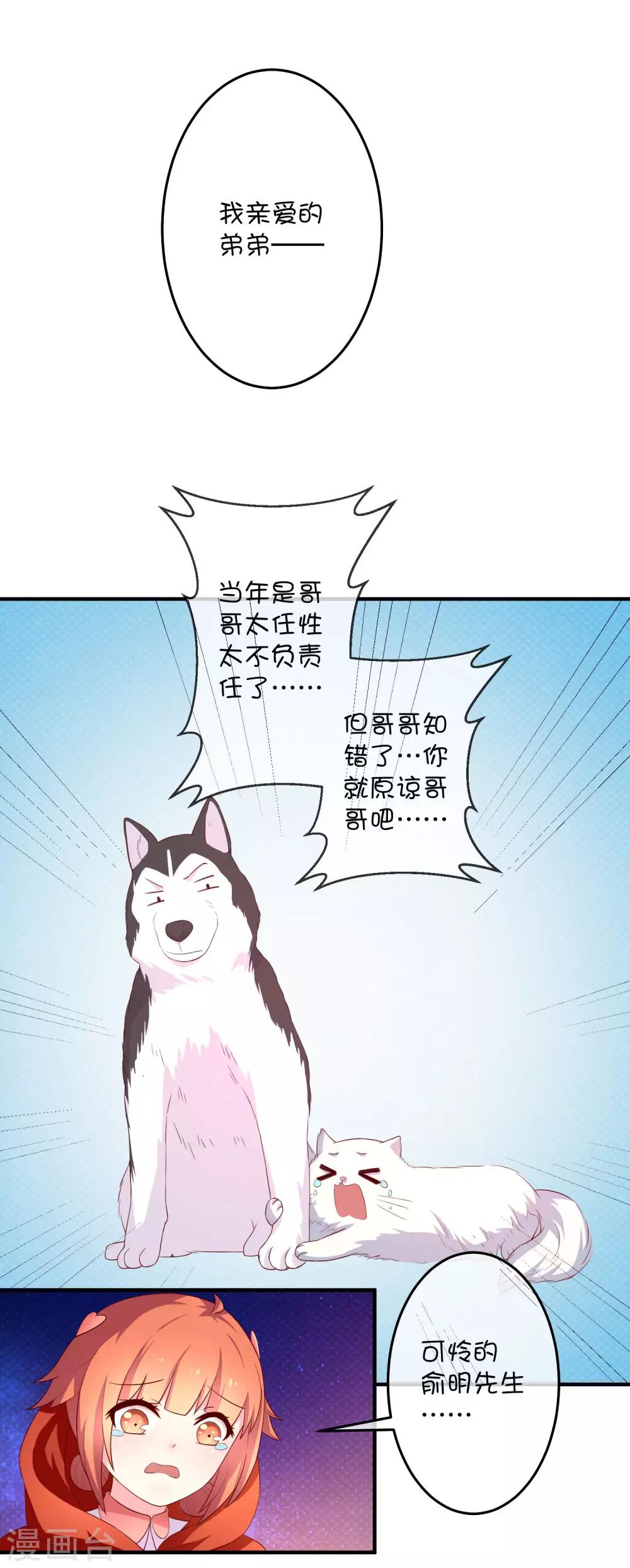第16话 猫狗再相逢-第24话