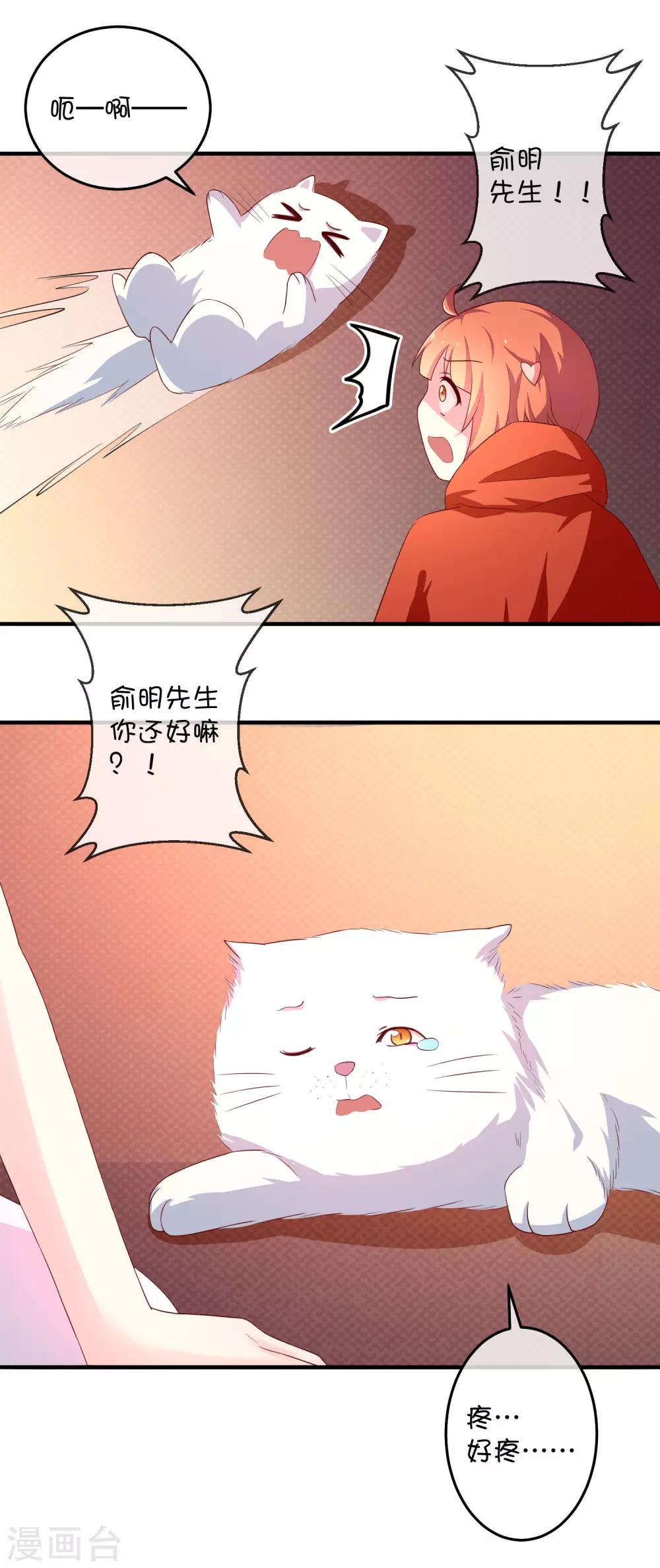 第16话 猫狗再相逢-第24话