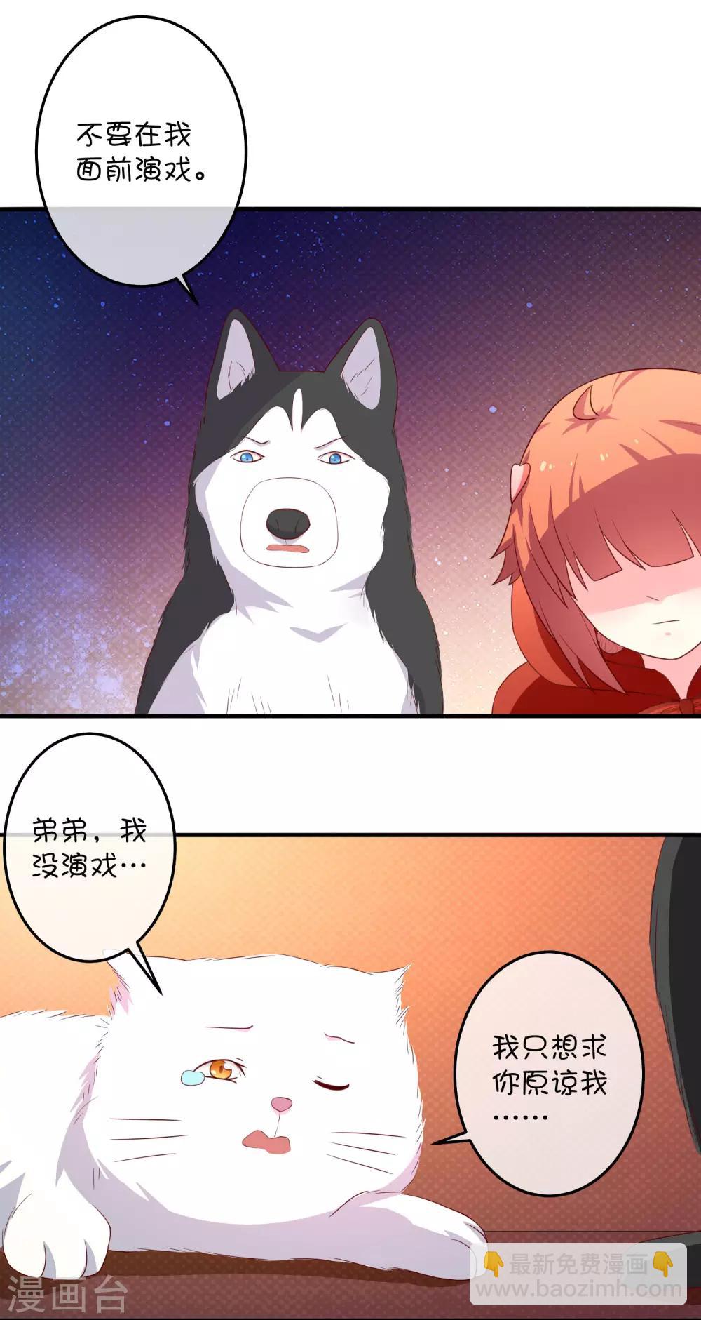 第16话 猫狗再相逢-第24话