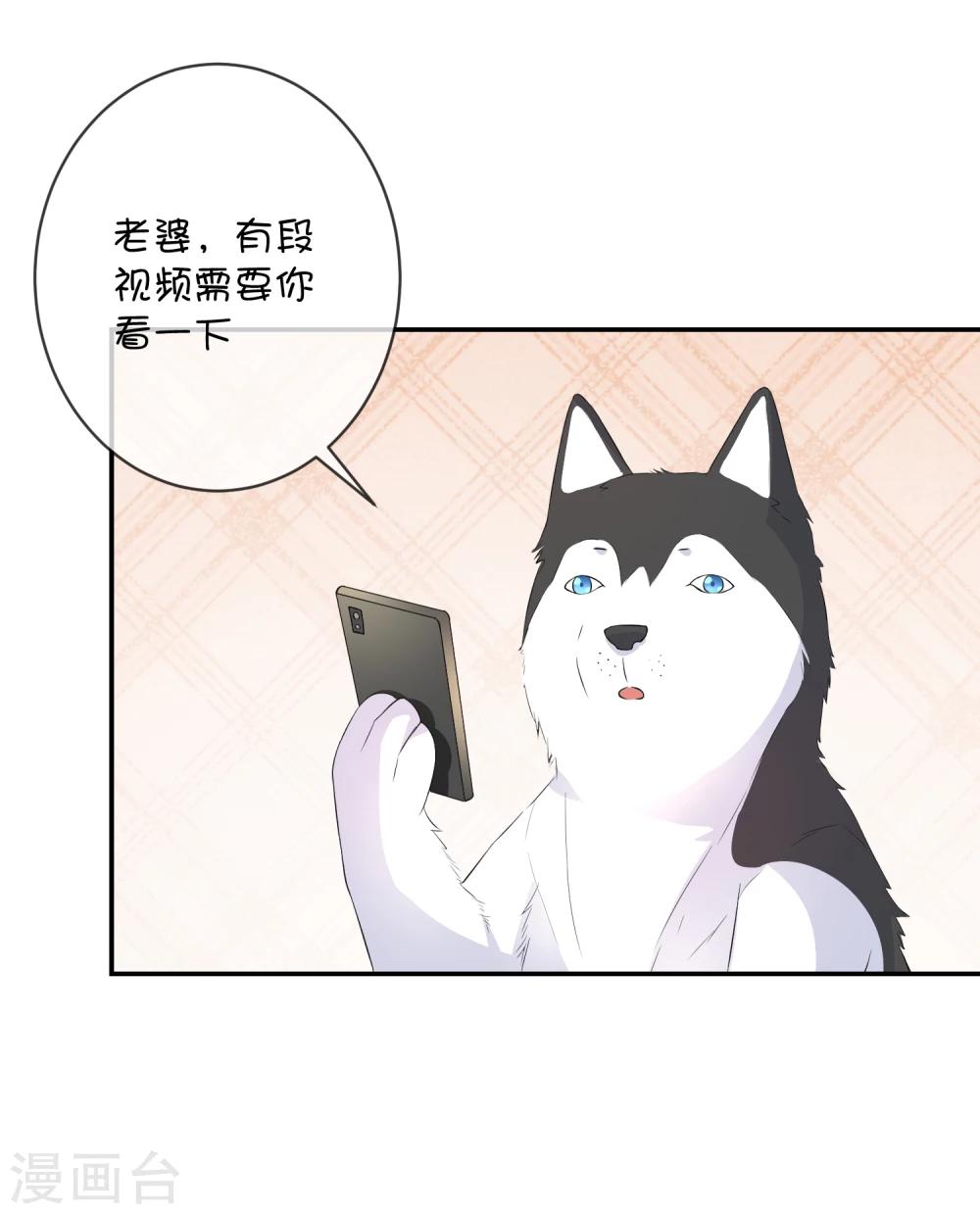 第30话 望星小镇灵异事件-第40话