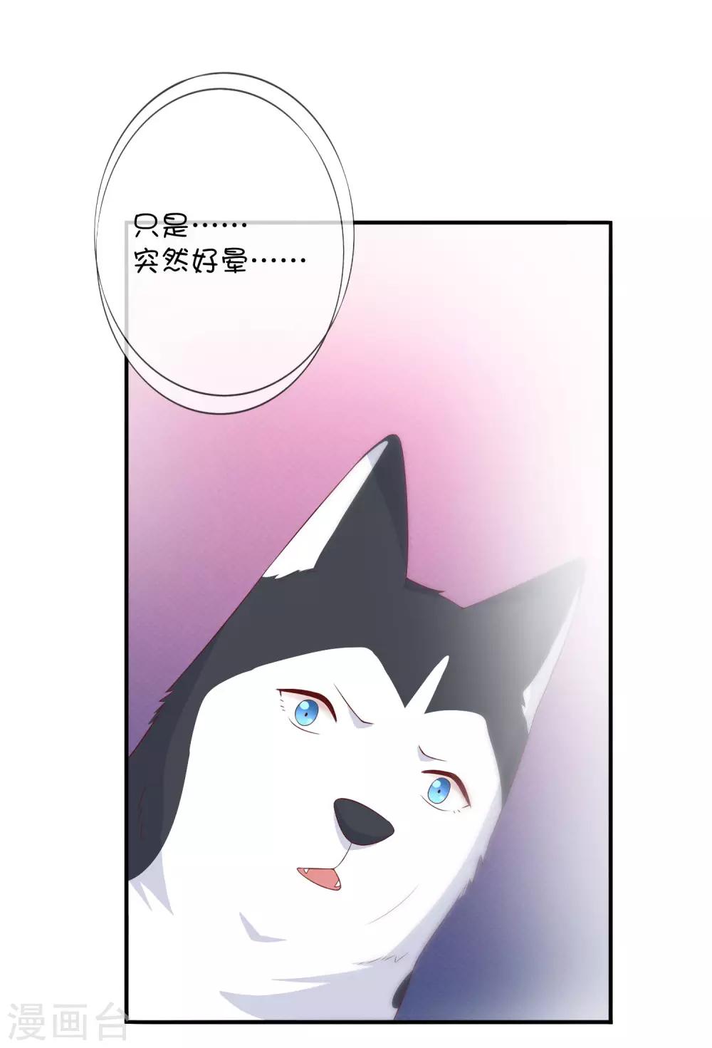 第34话 邪恶巫师-第44话