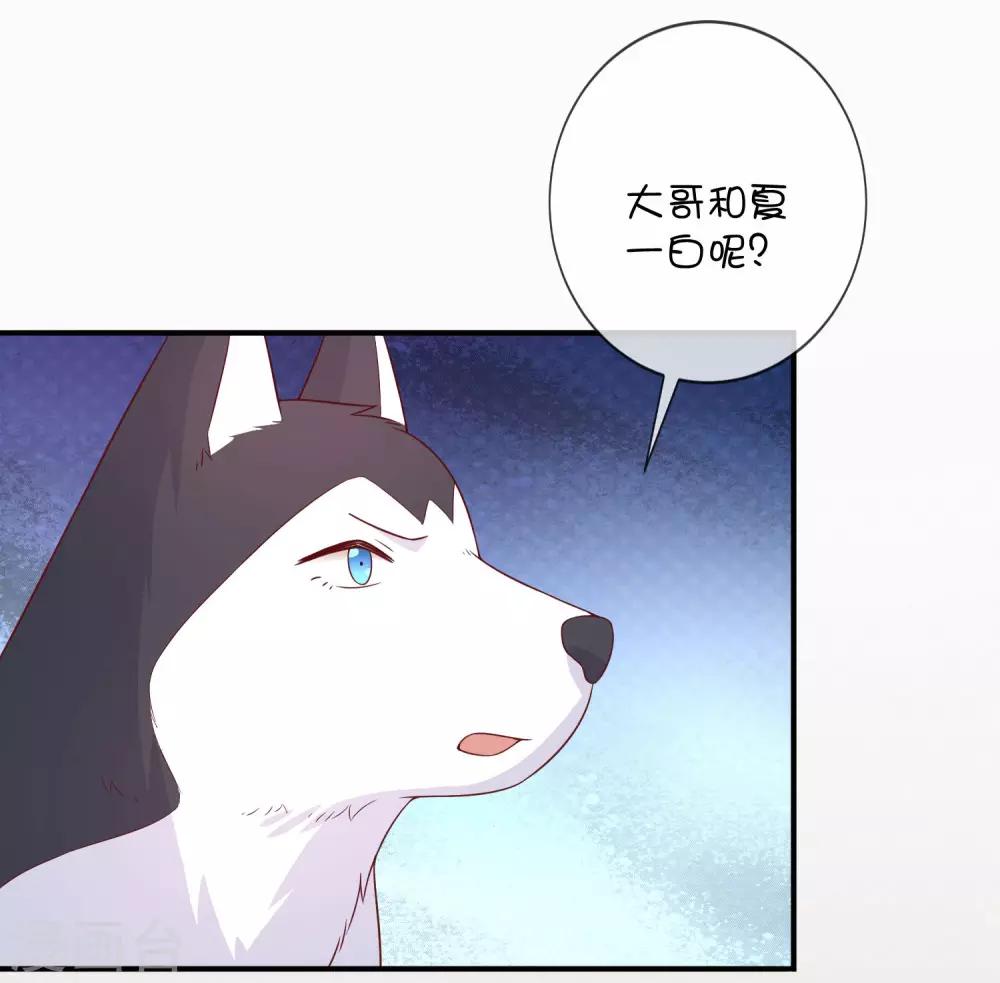 第38话 黎明前的黑暗-第48话