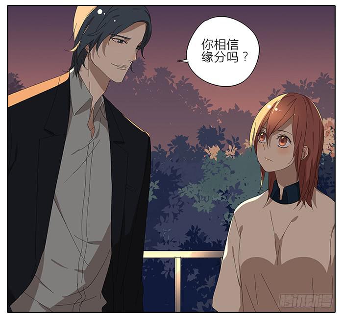 41.铁树开花-第42话
