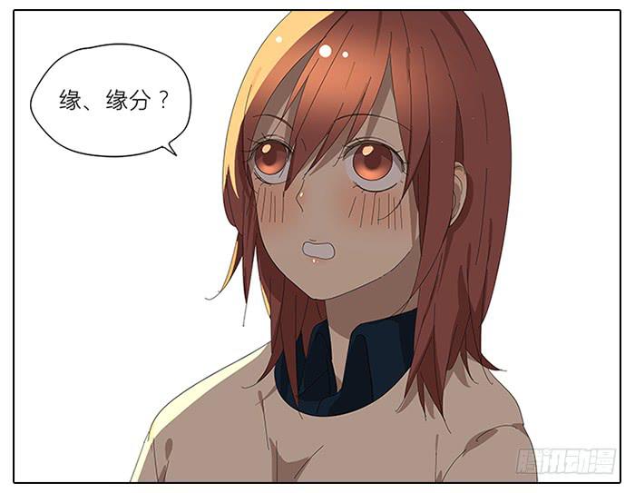 41.铁树开花-第42话