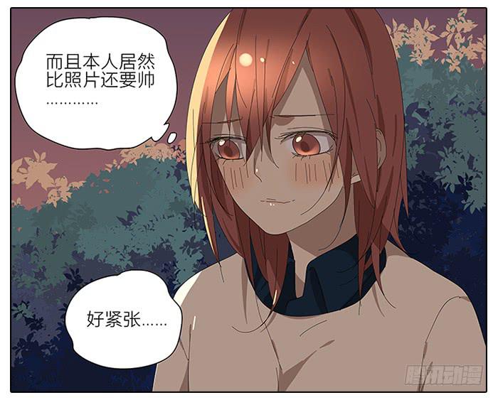 41.铁树开花-第42话
