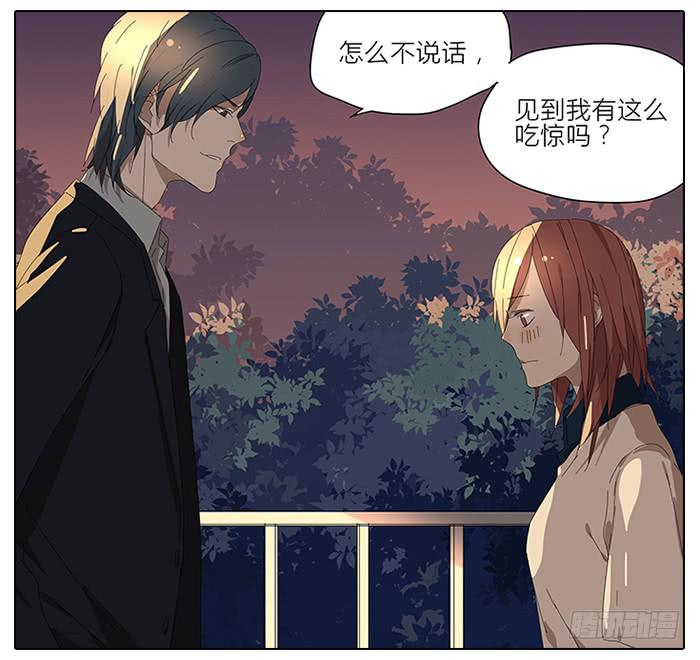 41.铁树开花-第42话