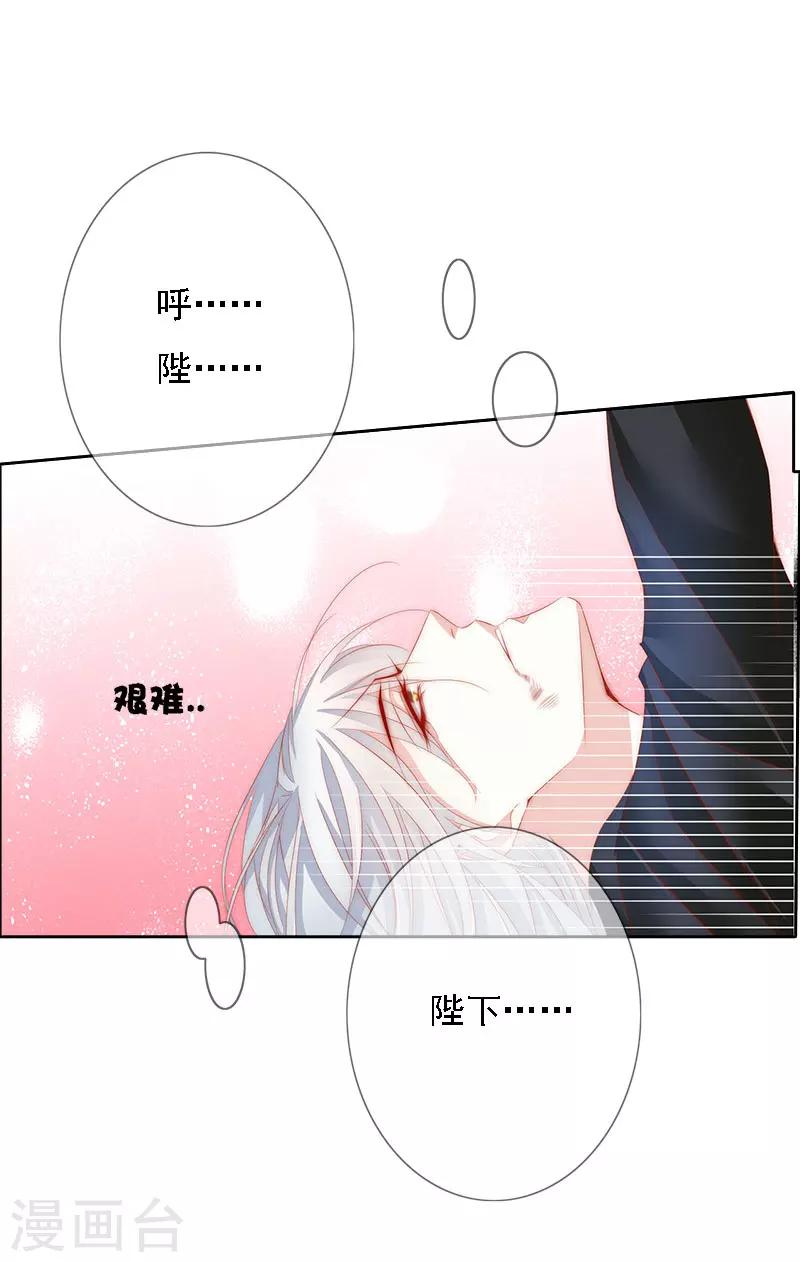 最终话 大结局(1/2)-第70话