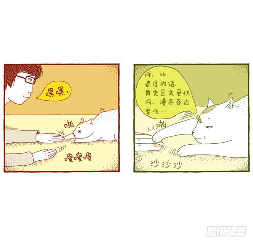 人猫没有隔夜仇-第12话