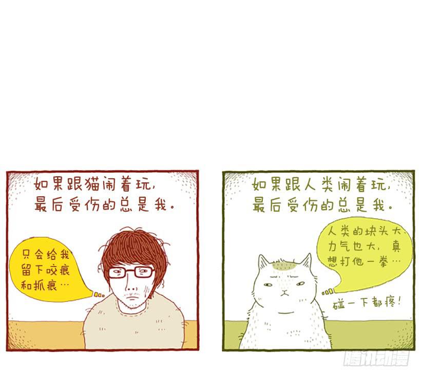 人猫没有隔夜仇-第12话