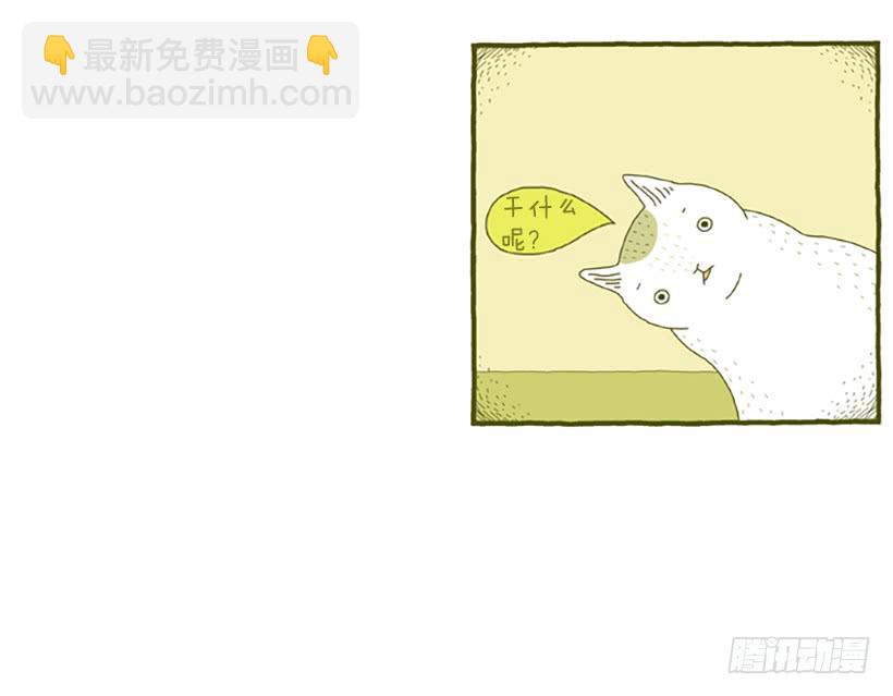 人猫没有隔夜仇-第12话