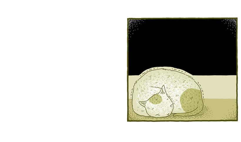 窗外的猫 下篇-第16话