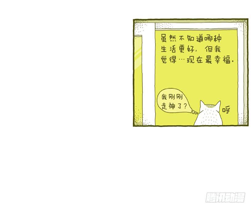 窗外的猫 下篇-第16话
