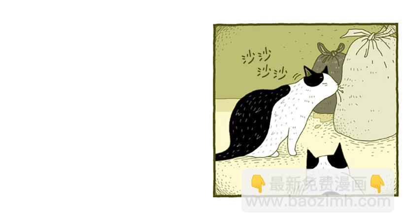 窗外的猫 下篇-第16话