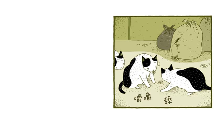 窗外的猫 下篇-第16话