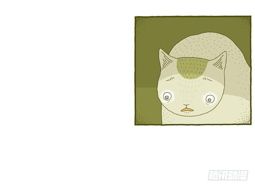 窗外的猫 下篇-第16话