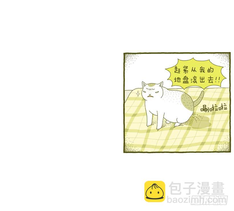 明明什么都不了解-第24话