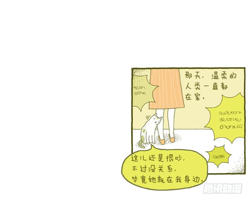 她去哪儿了-第4话