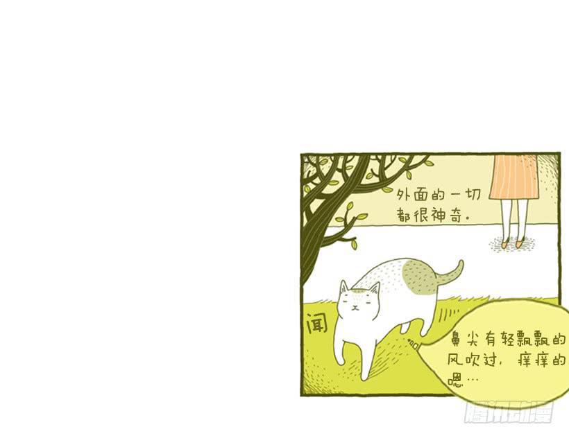 她去哪儿了-第4话