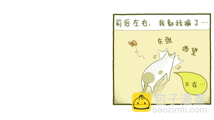 她去哪儿了-第4话