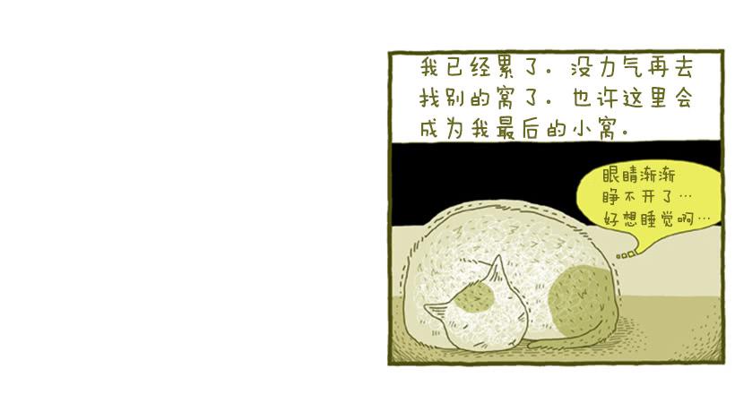她去哪儿了-第4话