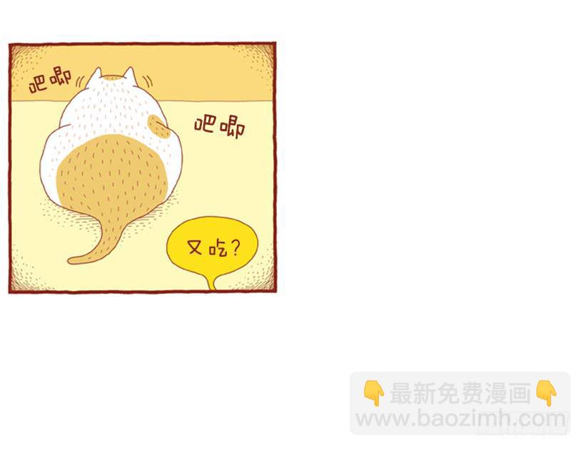 明天开始减肥-第34话