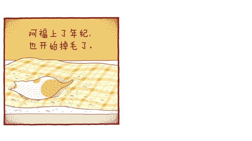 掉毛-第38话