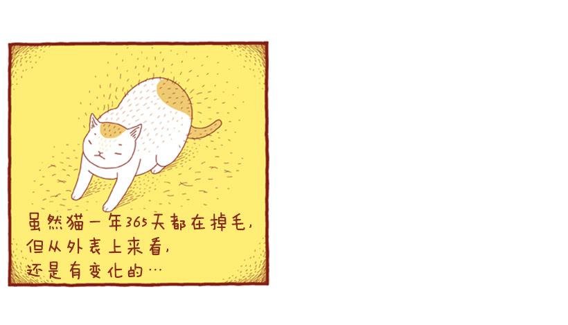 掉毛-第38话