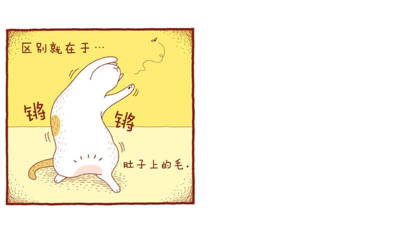 掉毛-第38话