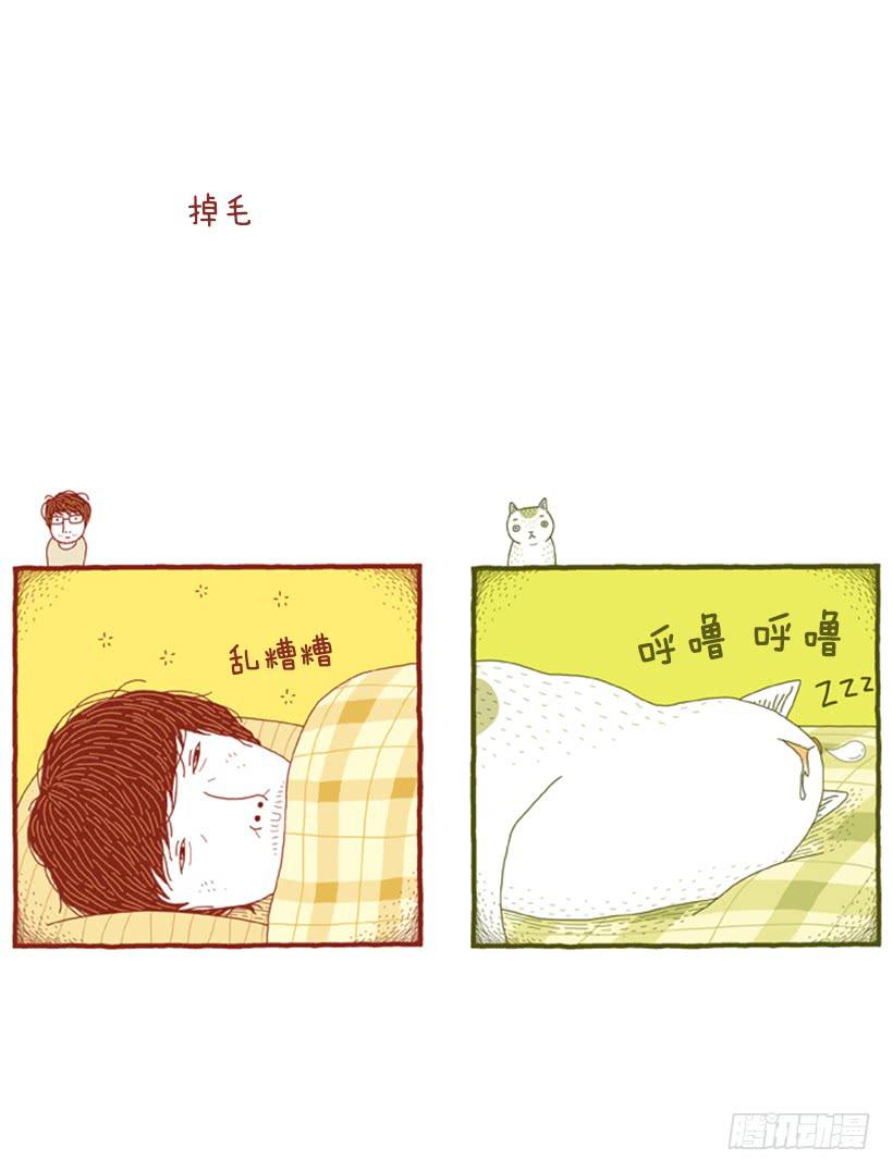 掉毛-第38话
