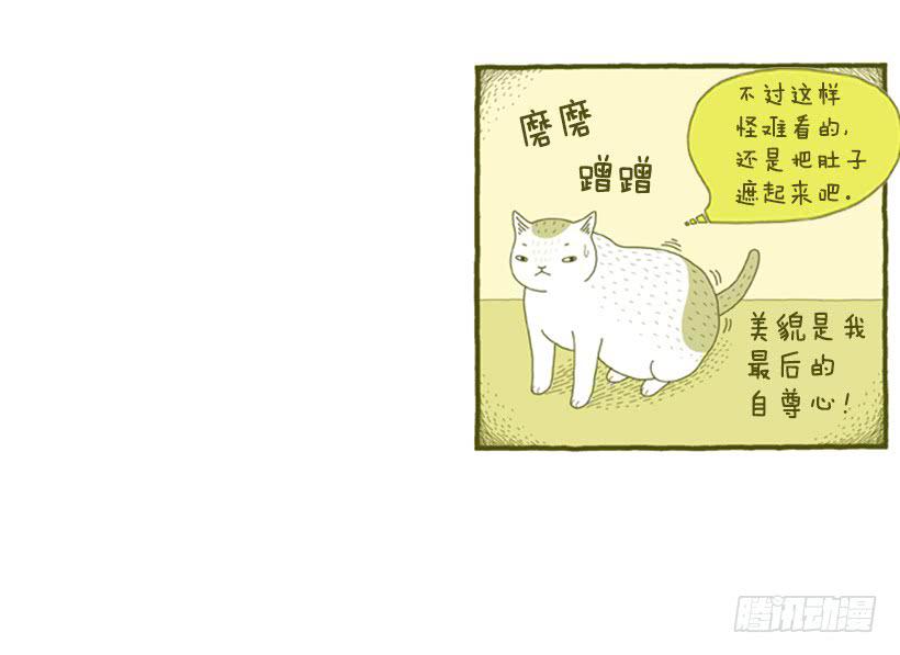 掉毛-第38话