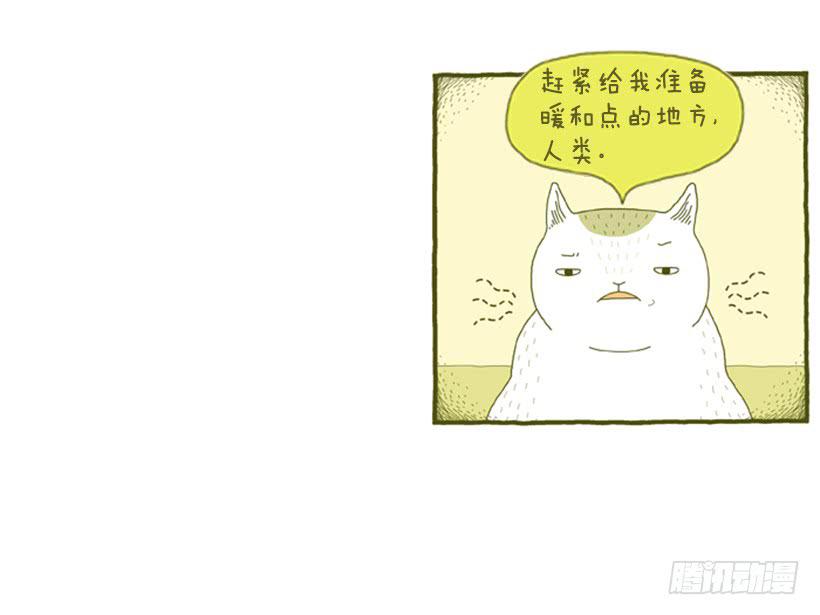 掉毛-第38话
