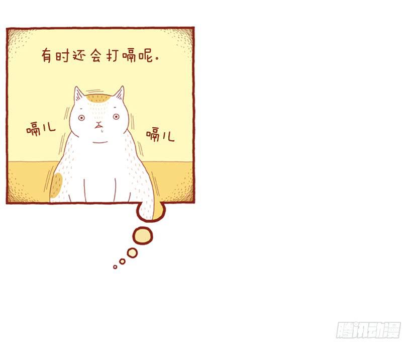 人也跟猫一样-第40话