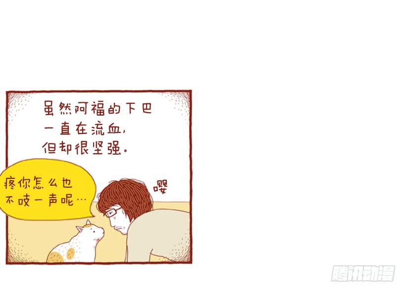 自我怜悯的泥潭-第46话