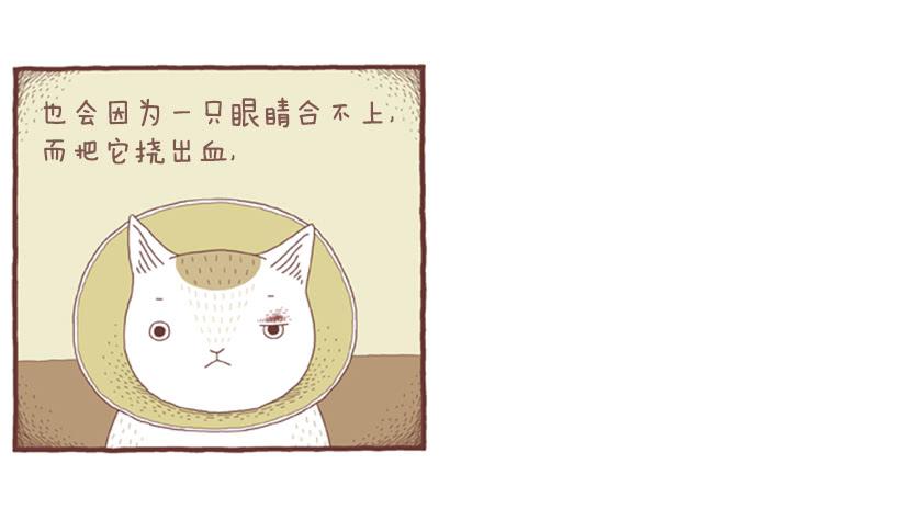 自我怜悯的泥潭-第46话