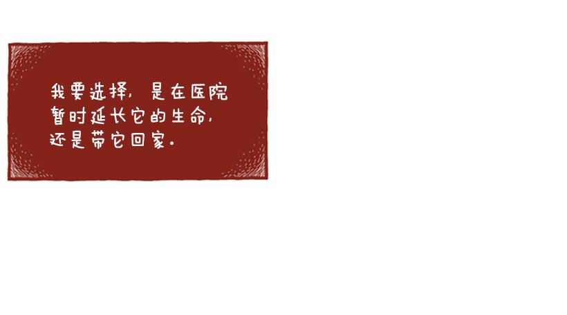 恬静深沉的梦-第50话