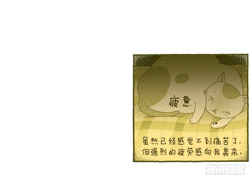 恬静深沉的梦-第50话