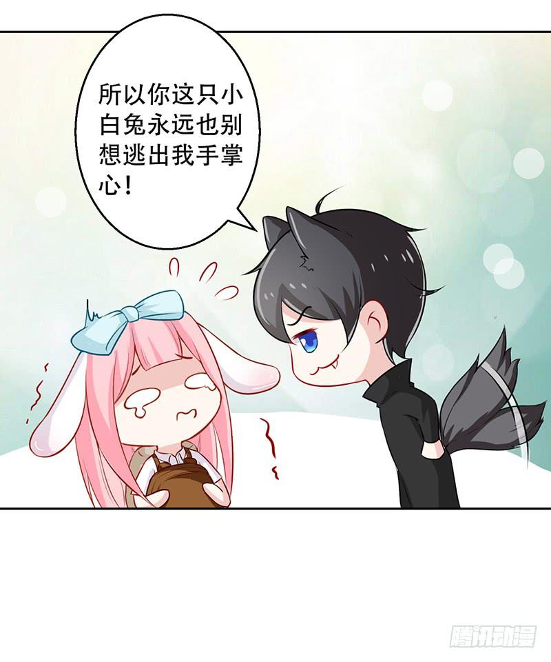 035 被玩弄的兔子-第36话