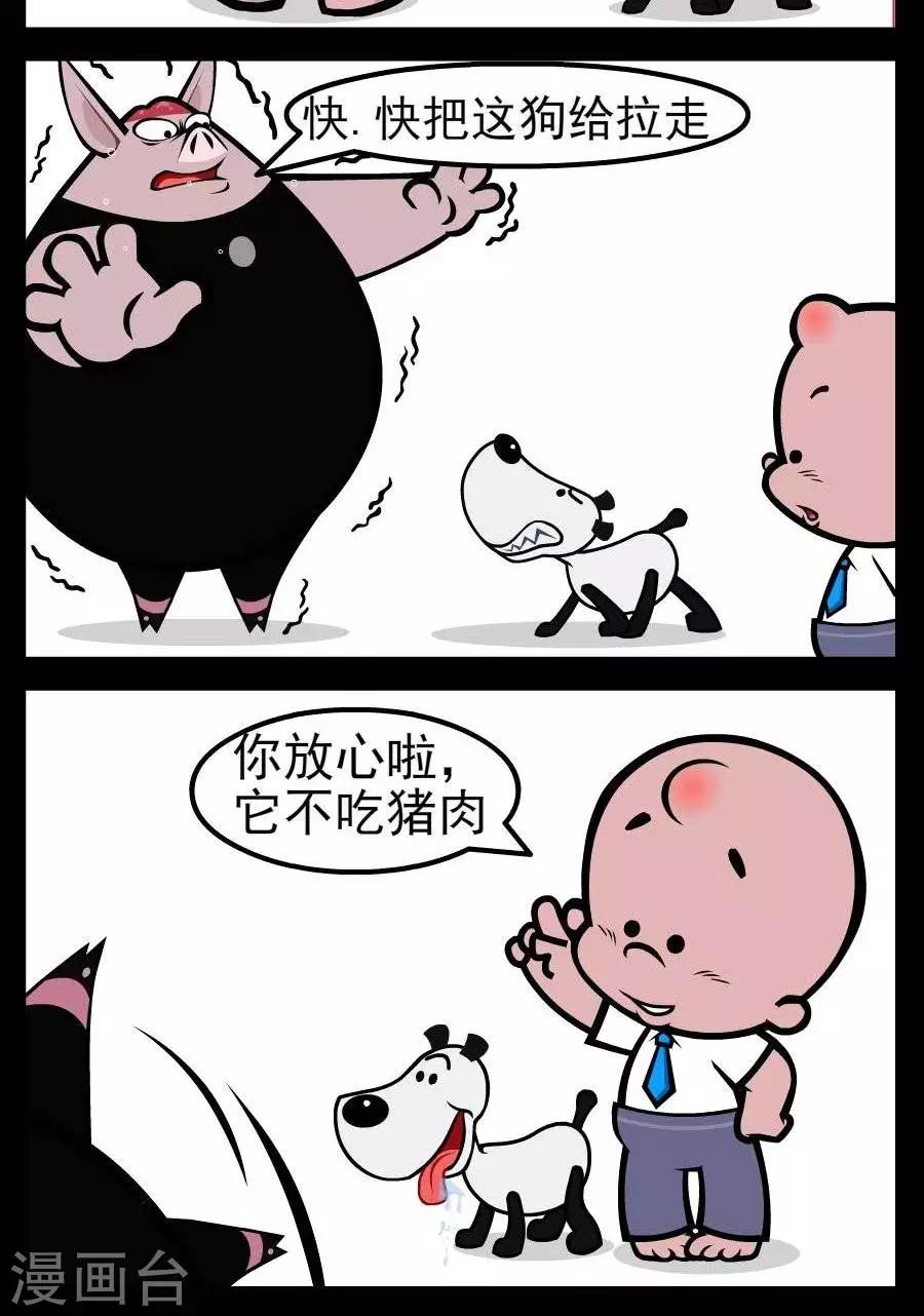 第54话  不吃猪肉-第54话