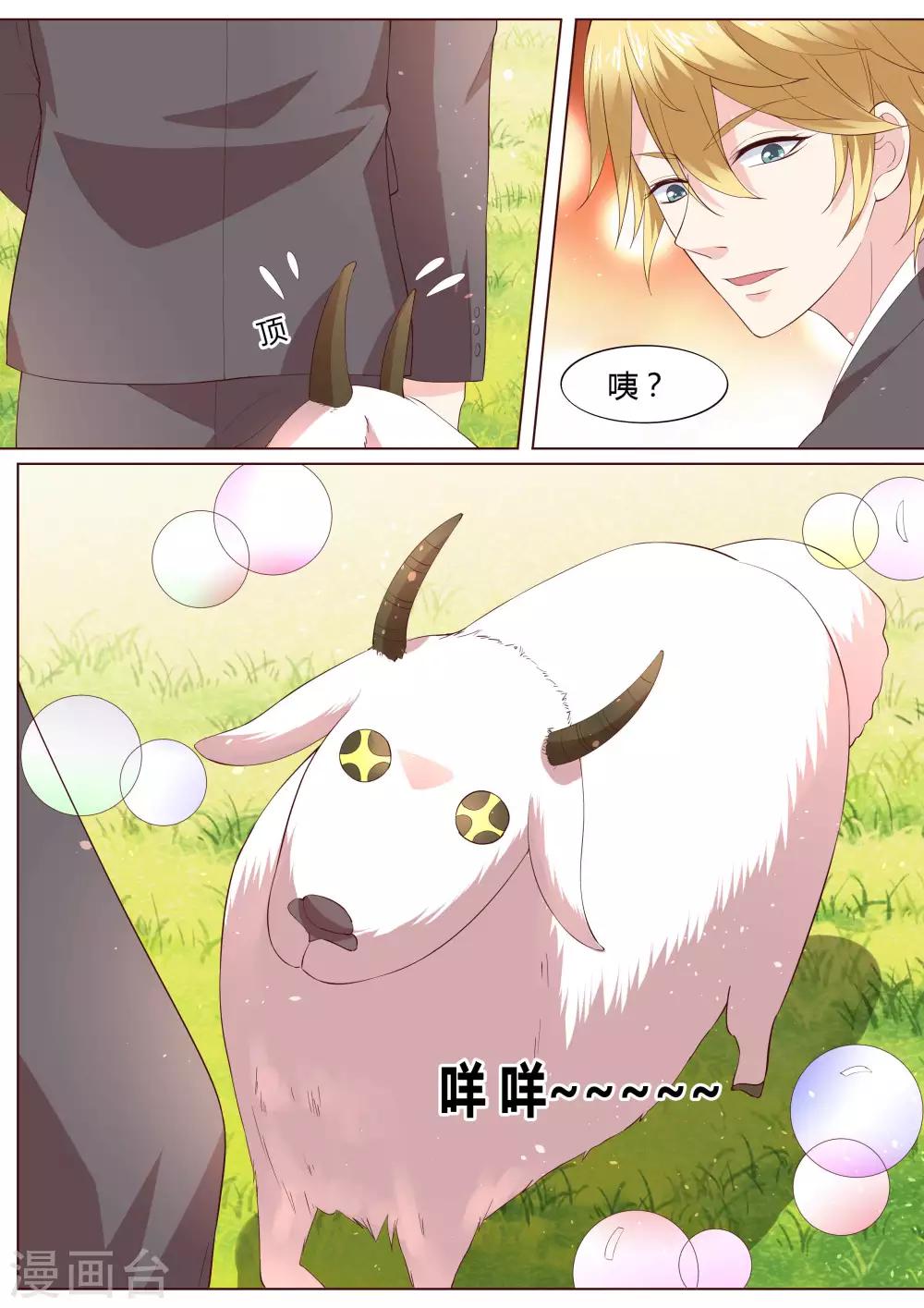 🍚小仙来偷袭 番外3 第7页
