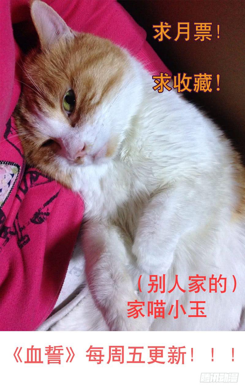 🍚血誓 8 第12页