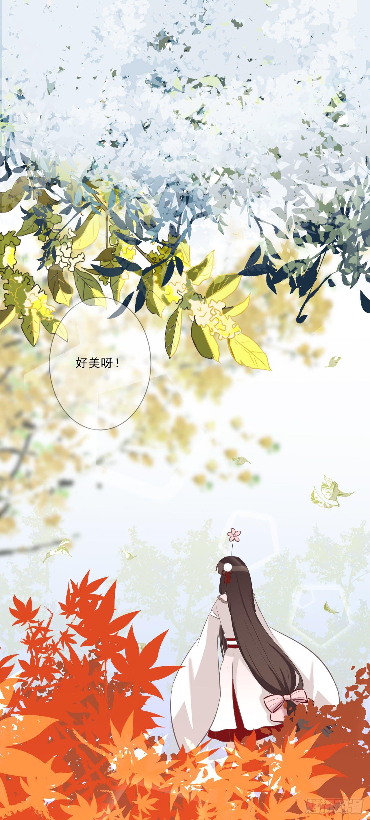 带你走遍万水千山(1/2)-第14话