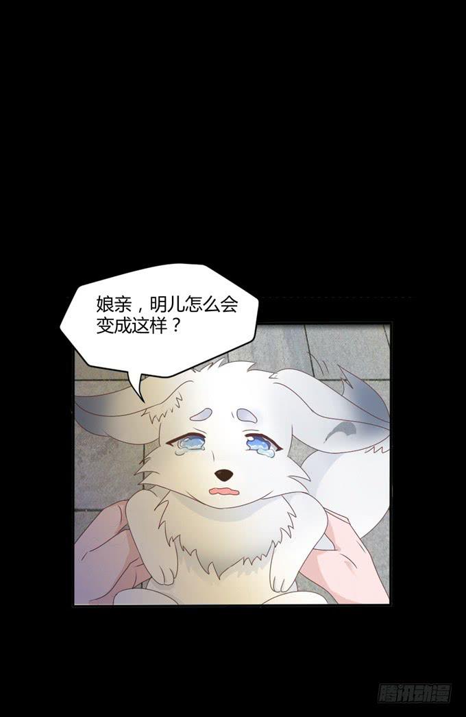 单独相见(1/2)-第14话